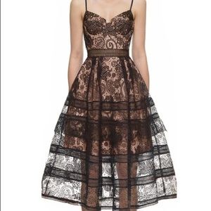 Self-Portrait Paisley Lace Bustier Midi Dress
